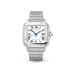 Cartier Santos WSSA0029 Silver