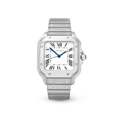 Cartier Santos WSSA0029 Silver