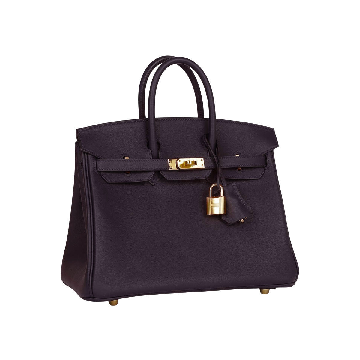 Hermès Birkin 25 Prunoir Swift GHW K